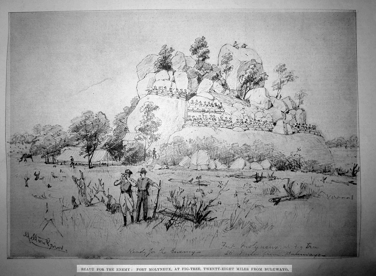 fort molyneux